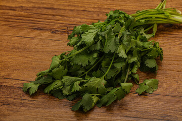 Green coriander or cilanto leaves heap