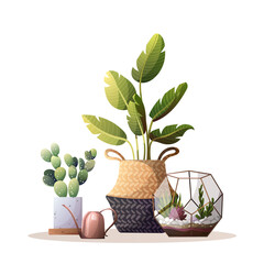 Collection of houseplants. Florarium, home garden, greenhouse, gardening, plant lover concept. Isolated vector illustration for poster, banner, card, cover.