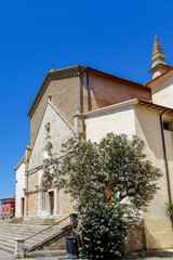 Lauriers en fleurs dans une ville d'Italie en été
