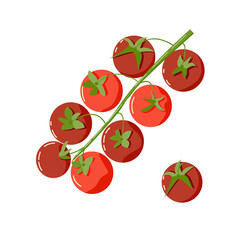 Branch of ripe red cherry tomatoes. Rich source of vitamin C. Vector cartoon illustration isolated on white background. Simple design for healthy food menu, grocery labels in a store, print in a cafe,