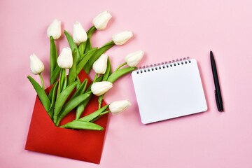 White tulips spring in envelope with notebook on pink background. Flower delivery concept. Mother's day, woman's day, valentines day. Greeting card. Copy space, flat lay. Creative composition