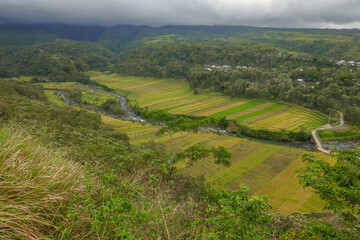 Fototapeta premium Scenic landscape with rice fields and river under a cloudy sky, Manggarai regency, Flores island, East Nusa Tenggara, Indonesia