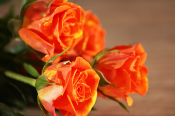 Bouquet of red roses on a wooden background. Author's bouquet for a wedding close-up.