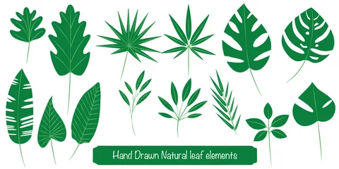 Foto op Plexiglas Tropische bladeren Reeks tropische groene bladpictogrammen Tropische bladillustratie Vector illustratie Tropisch blad, bladpictogrammen, met de hand geschreven bladreeks