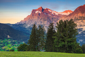Alpine scenery with amazing mountains at sunset, Grindelwald, Switzerland © janoka82