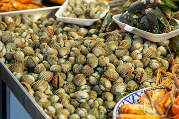 placer Blood cockle brown wavy shells, Green mussel closeup, selective focus
