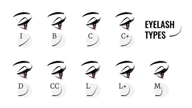 Eyelash types. Curved female eyelashes extension, various length and bend. Profile view of woman eyes with long fake lashes. Isolated models of face makeup. Vector beauty salon service