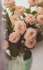 Delicate peach roses on a light blurred background close-up. Colored card for congratulations on women's day, birthday and kind words
