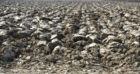 Earth clods