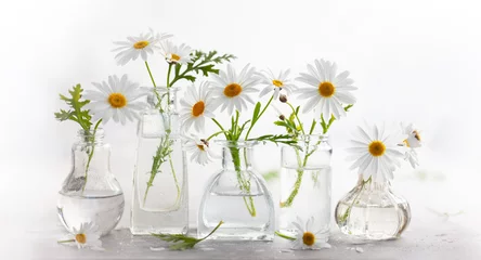 Gordijnen Beautiful daisy flowers in glass vases on light background. Floral composition in home interior. © Svetlana Kolpakova