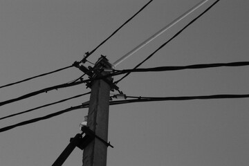 electric pole