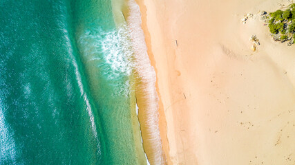 Surf on a sunny beach. Coromandel, New Zealand.