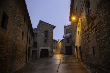 Fototapeta na wymiar Village street at night