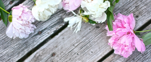 Top view background with pion flowers. Flowers composition. Mock up with plants. Flat lay with Flowers on  table. Woman day concept. Copyspace for text. 