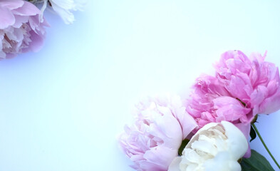 Top view background with pion flowers. Flowers composition. Mock up with plants. Flat lay with Flowers on  table. Woman day concept. Copyspace for text. 