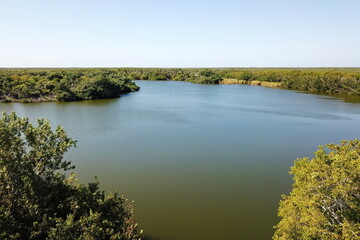 Swampy environment in south Florida