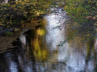 Reflets d'arbres en automne au coucher du soleil dans une rivière