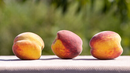 Ripe juicy peaches on the table in the garden in sunny weather