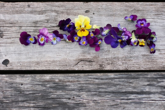 Beautiful pancy flowers with wooden background. Elegant artistic image nature. Mock up, copy space. Focus on flowers. Flat lay 