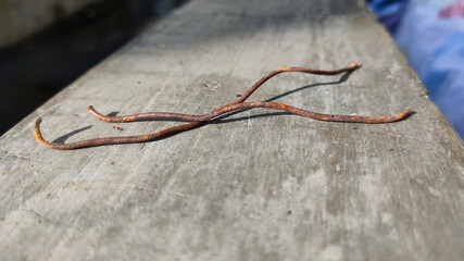 fracture rusty steel wire fence of building.