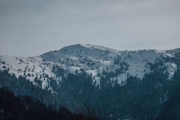 Fototapeta na wymiar Snowy peaks of the Carpathian Mountains