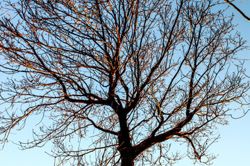 Sunsetview Monte di Procida (NA)
EOS Canon 1100D Obb:18-55mm
