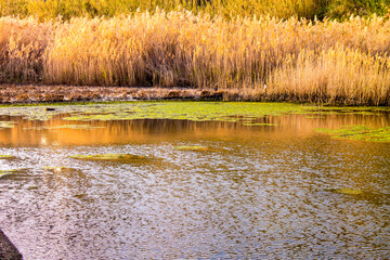 Lakeview Monte di Procida (NA)
EOS Canon 1100D Obb:18-55mm 