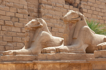 Fragment of the alley of cryosphinxes leading to the Karnak temple, sculptures of mythical creatures with the head of a ram and the body of a lion, designed to protect the ancient necropolises
