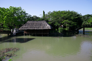 Palm thatch roof gazebo on the water among the tropical forest.