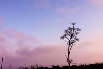 Sunsetview Monte di Procida (NA)
EOS Canon 1100D Obb:18-55mm