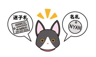 迷子札と名札を付けた黒猫