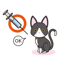 Fototapeta na wymiar 予防接種のワクチンを接種した黒猫