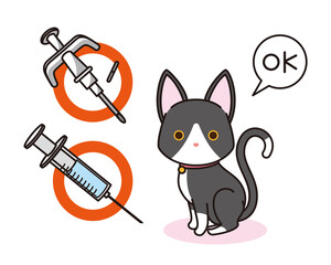 Fototapeta na wymiar マイクロチップの装着と予防接種のワクチンを接種した黒猫