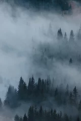Papier Peint photo Lavable Forêt dans le brouillard Pics mystérieux des montagnes des Carpates
