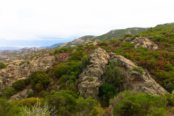 Fototapeta premium Beautiful scenery of the mountains in the Desert des Agriates with blue sky. Landscape near Saint Florent, Corsica, Deparment Haut-Corse. France. 