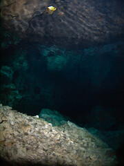 Looking up at surface of an air pocket in a stalactite underwater cave (Cenote Tajma Ha, Playa del Carmen, Quintana Roo, Mexico)