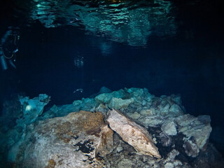 Looking up at surface of an air pocket in a stalactite underwater cave (Cenote Tajma Ha, Playa del Carmen, Quintana Roo, Mexico)