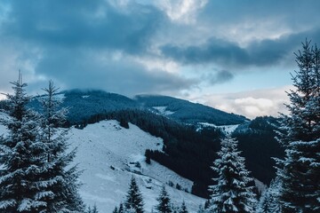 Fototapeta premium Carpathian mountains, winter, snow-capped peaks, clouds