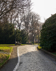Obraz premium cobblestone footpath in front of the Christian-Weise-Gymnasium high school in Zittau