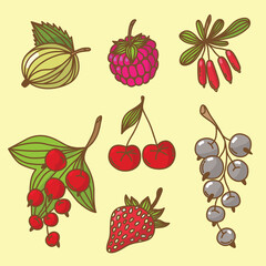 Colorful berries set. Raspberries, strawberries, currants, cherries, cherries, barberries.