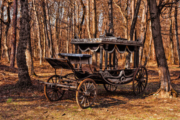 Fototapeta na wymiar Classic funeral carriage with coffin abandoned in forest