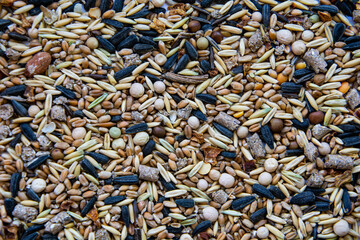 Seeds,peas, wheat,oats, nuts, food for rodents.