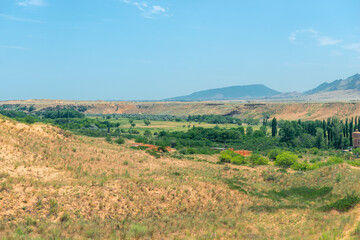 landscape with a view of the field and pores in summer