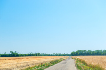 Fototapeta na wymiar Rural field road scene. Summer rural road. Rural road landscape