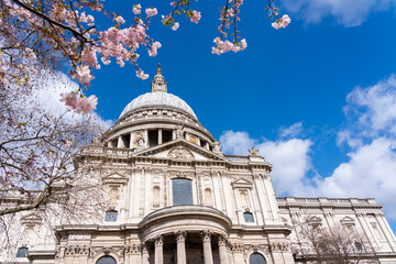 Fototapeta na wymiar St. Paul's Cathedral surrounded by cherry blossom on a sunny Spring morning, London, United Kingdom