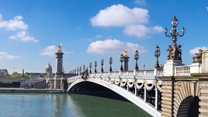 Fototapeta na wymiar Alexandre Bridge in Paris, panorama