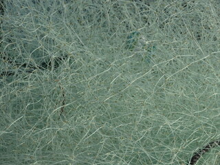 Fishing net in the port of ancient Acre in Israel close-up.
