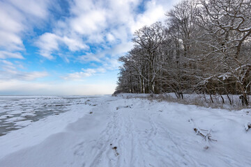 Verschneiter winterlicher Strand mit Wald. Es ist der Greifswalder Bodden, die Ostsee bei Greifswald. Nicht nur der Strand ist verschneit, das Wasser in Ufernähe ist zu dickem Eis gefroren.