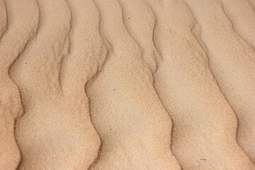 sand texture background