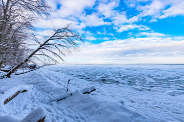 Winterlicher Strand am vereisten Meer. Es ist der verschneite Strand am zugefrorenen Greifswalder Bodden. Es ist die Küste der Ostsee in der Nähe von Greifswald. Am Ufer liegen Baumstämme aus dem Nahe